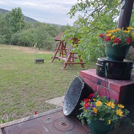 Hello Nature House - Cheile Nerei, Carasului, Garlistei Giurgiova المظهر الخارجي الصورة