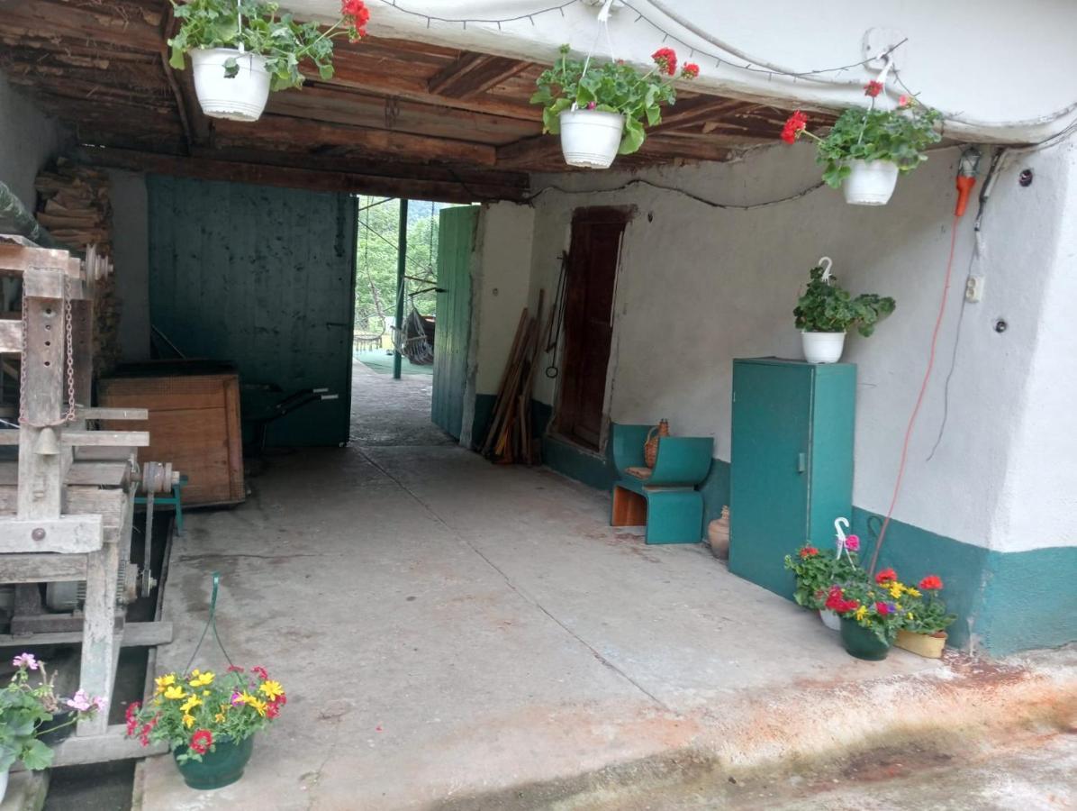 Hello Nature House - Cheile Nerei, Carasului, Garlistei Giurgiova المظهر الخارجي الصورة